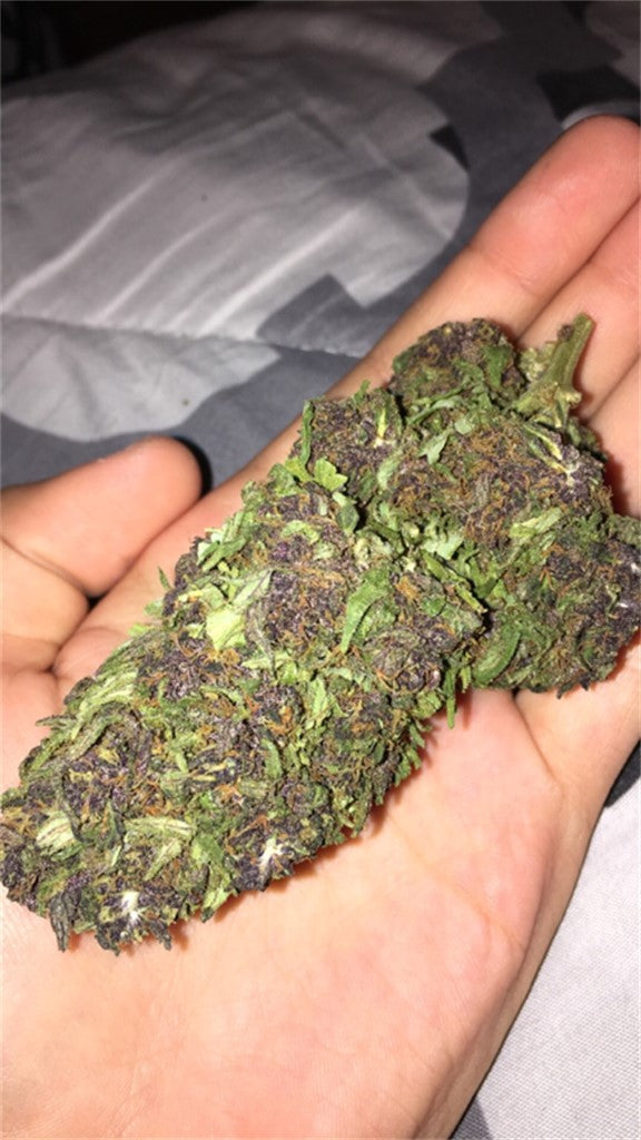 Deep Purple marijuana strain flower with rose and grape flavor and sleepy / relaxed effects - Rare Harvest indica