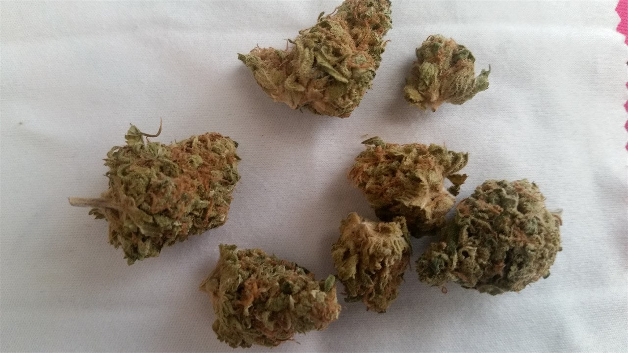Desert Star marijuana strain flower with earthy flavor and energetic / creative effects - Rare Harvest hybrid