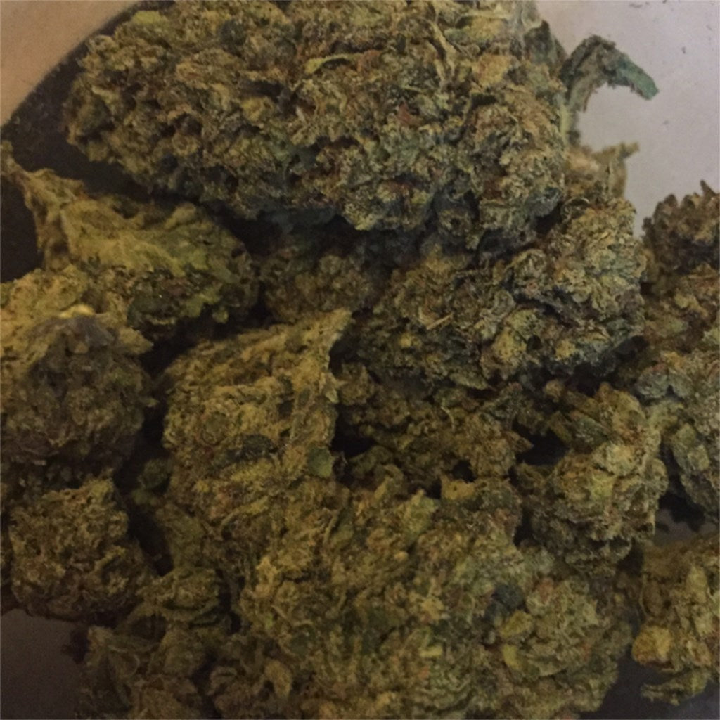 Diablo marijuana strain flower with grapefruit and spicy/herbal flavor and tingly / relaxed effects - Rare Harvest indica