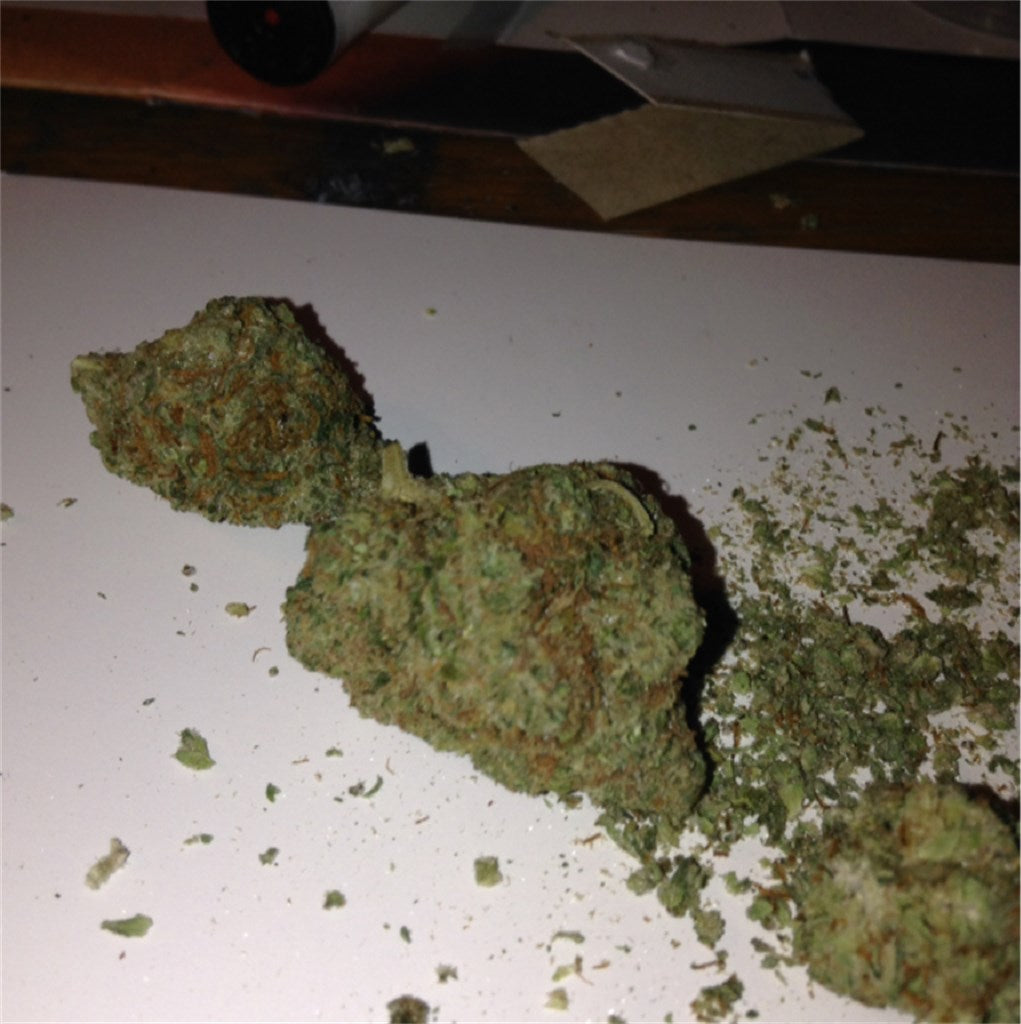 Diamond Valley Kush marijuana strain flower with diesel and apple flavor and energetic / creative effects - Rare Harvest hybrid