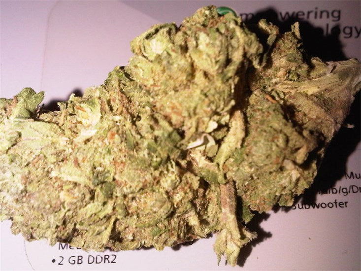 Diesel Duff marijuana strain flower with sweet and skunk flavor and uplifted / energetic effects - Rare Harvest hybrid