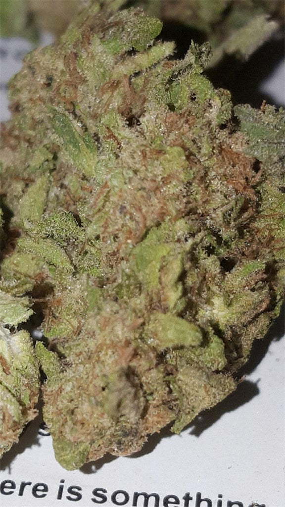 Dieseltonic marijuana strain flower with diesel and pineapple flavor and focused / uplifted effects - Rare Harvest hybrid