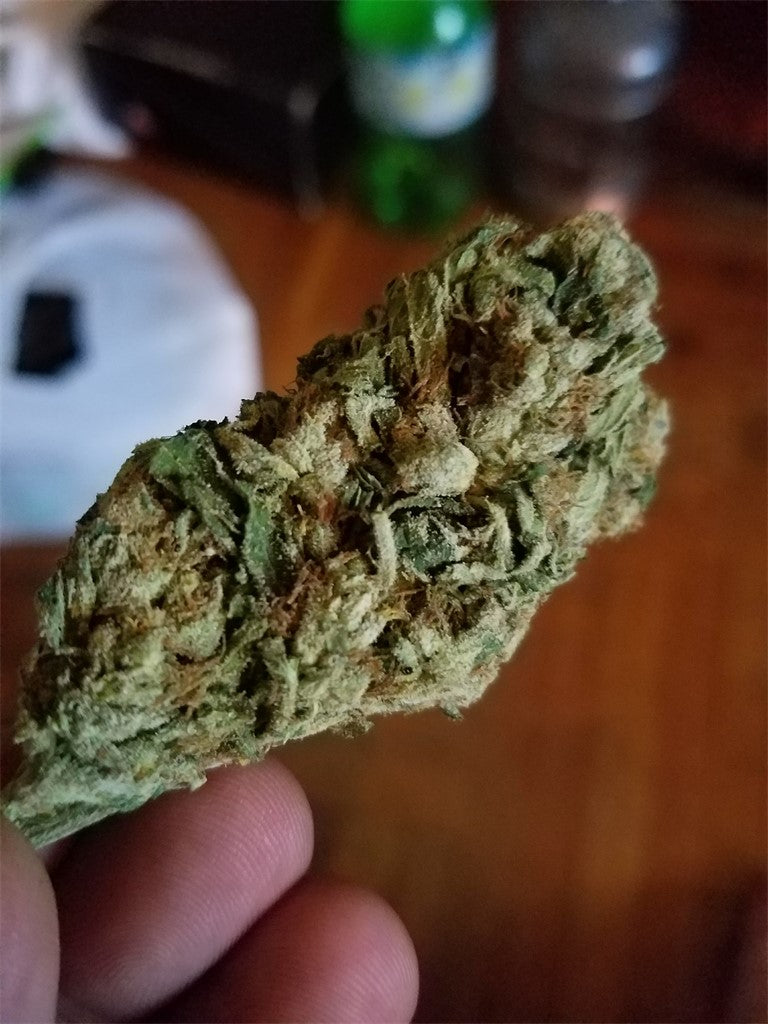 Do-Over OG marijuana strain flower and creative / uplifted effects - Rare Harvest hybrid