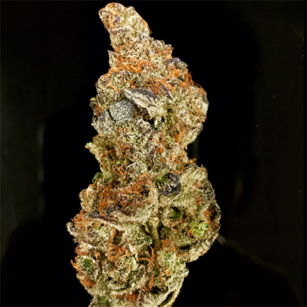 Dosidos marijuana strain flower with flowery and pepper flavor and relaxed / sleepy effects - Rare Harvest hybrid