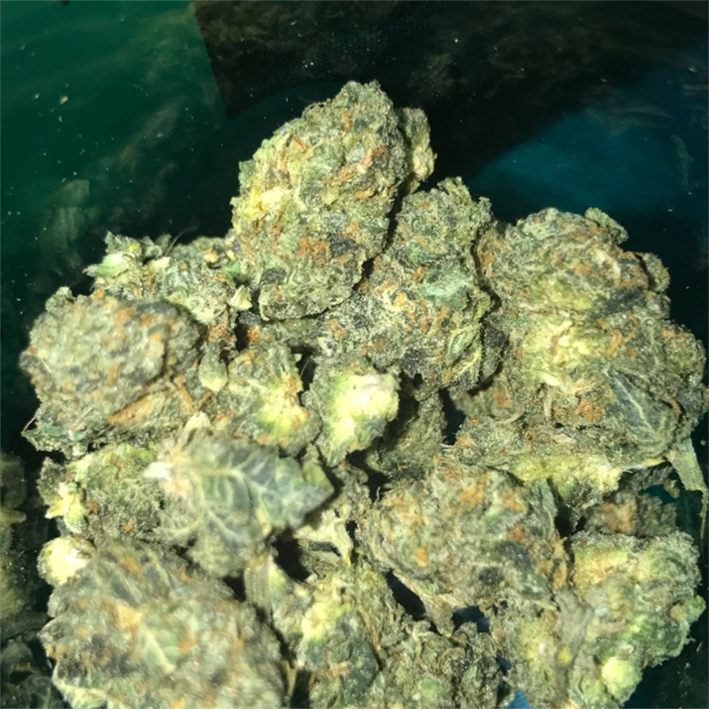 Donna OG marijuana strain flower with skunk and pungent flavor and relaxed / hungry effects - Rare Harvest hybrid
