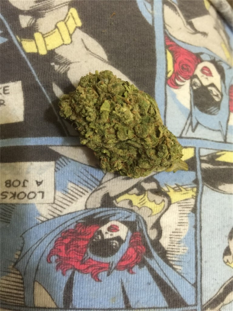 Dopium marijuana strain flower with chemical and pine flavor and talkative / euphoric effects - Rare Harvest hybrid