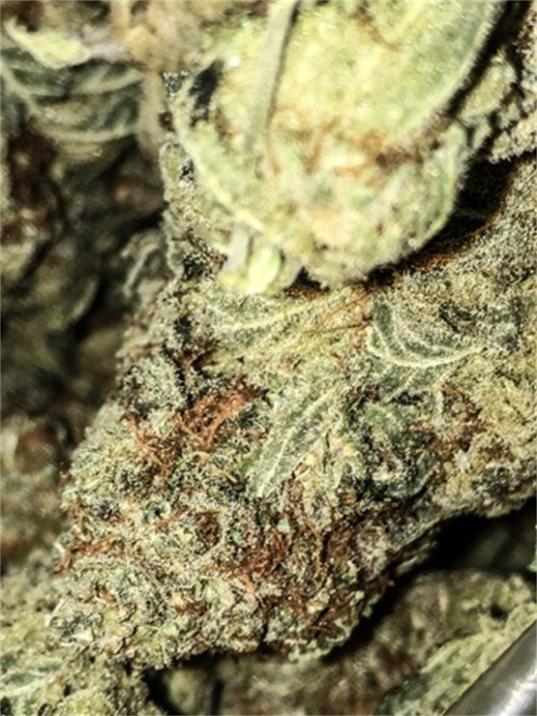 Double Diesel marijuana strain flower with grapefruit and diesel flavor and focused / creative effects - Rare Harvest sativa
