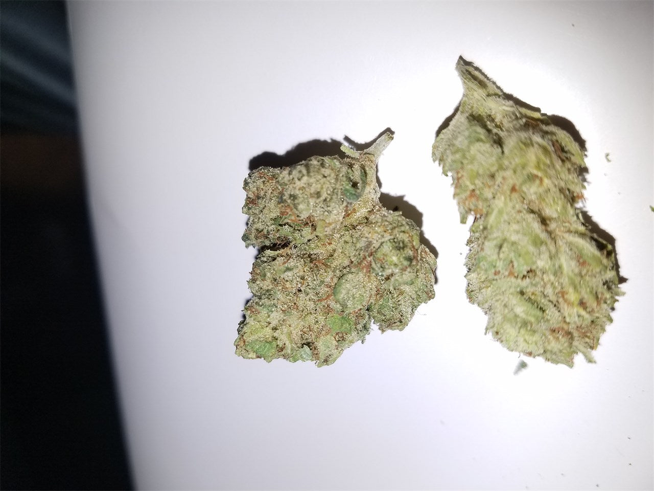 Double Mint marijuana strain flower with mint and lemon flavor and hungry / relaxed effects - Rare Harvest indica