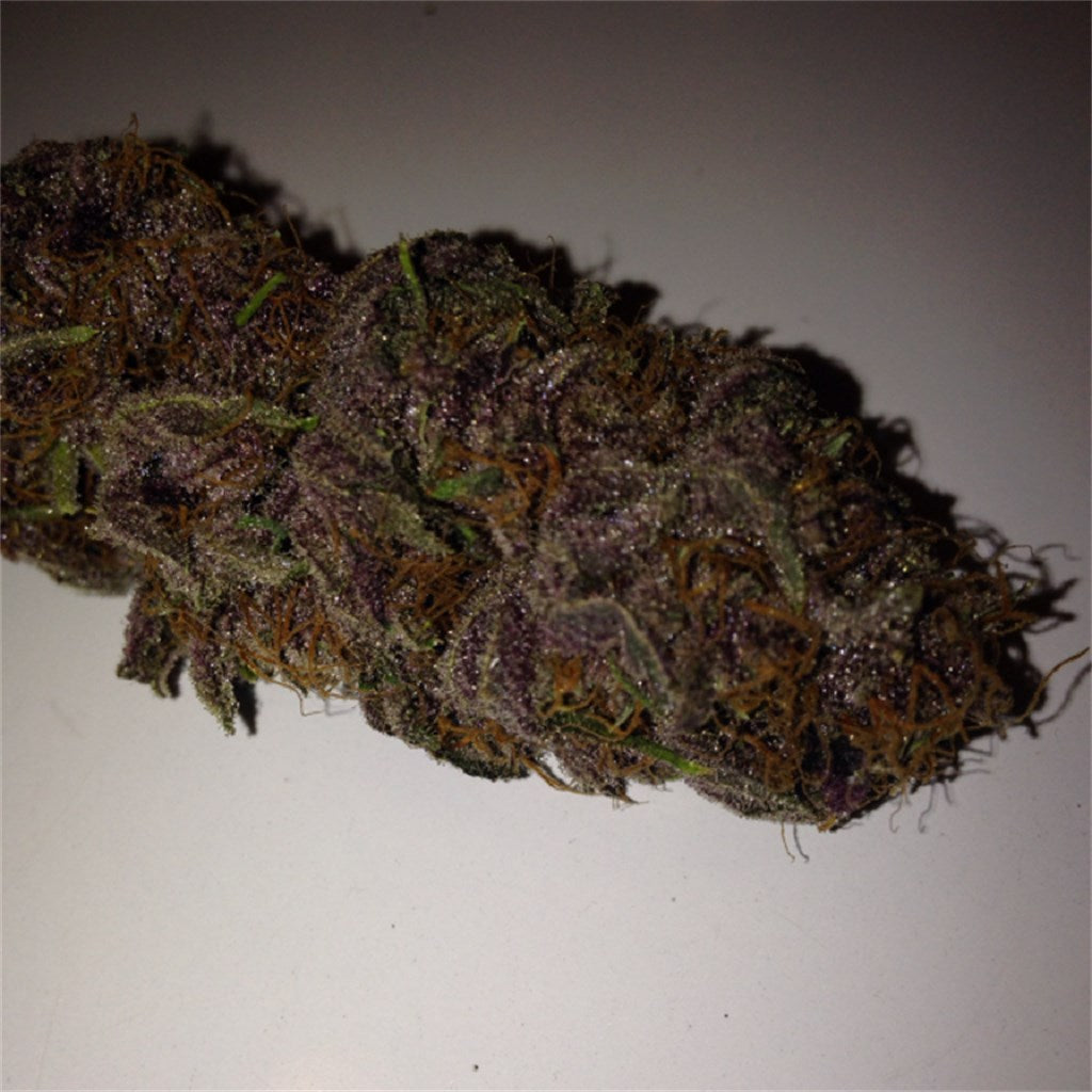 Double Purple Doja marijuana strain flower with coffee and grape flavor and creative / hungry effects - Rare Harvest indica
