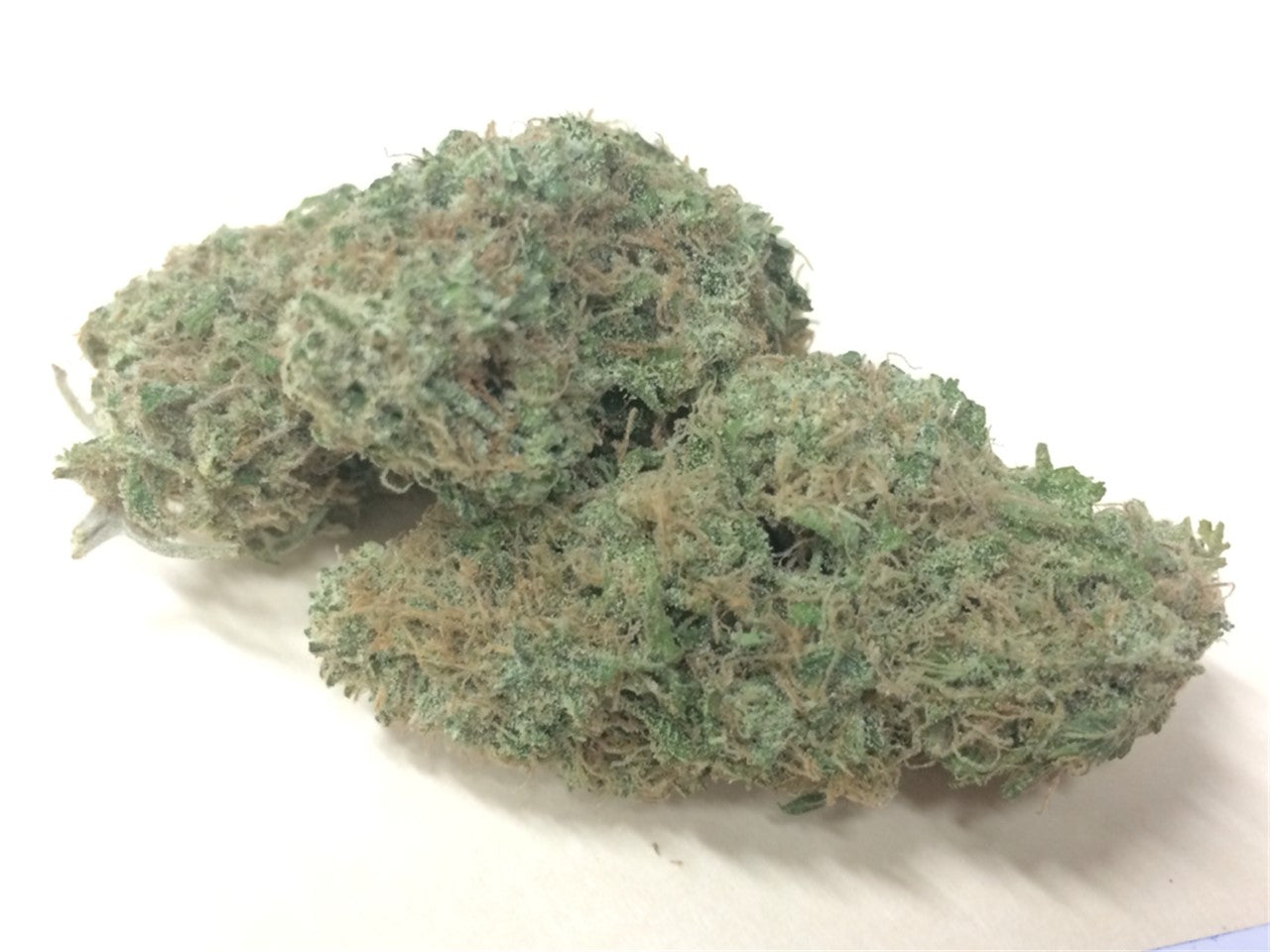 Dr. Funk marijuana strain flower with berry and blueberry flavor and aroused / euphoric effects - Rare Harvest indica