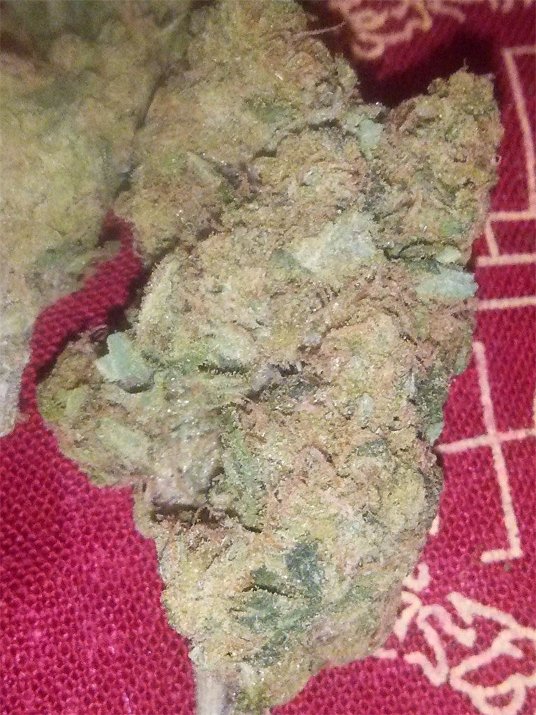 Dreadlock marijuana strain flower with diesel and earthy flavor and energetic / creative effects - Rare Harvest hybrid