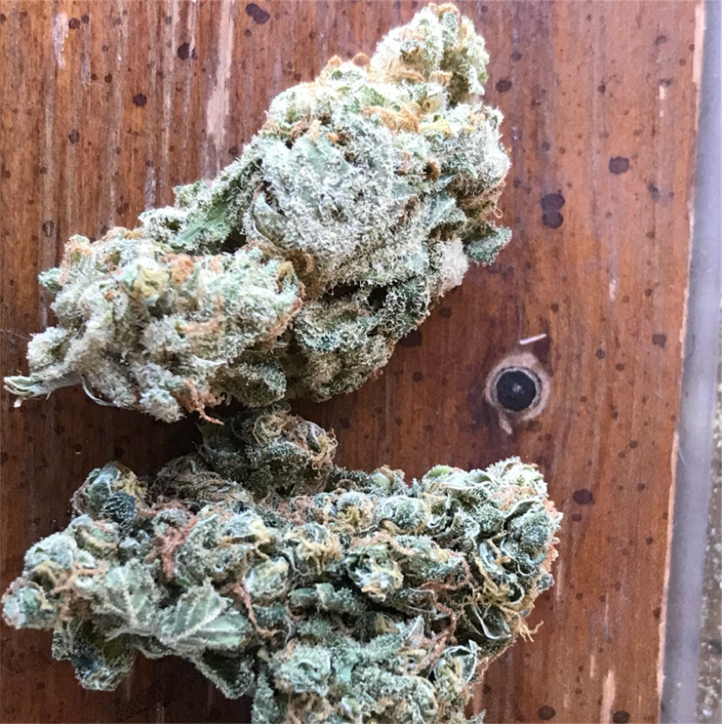 Durban Cookies marijuana strain flower with nutty and earthy flavor and focused / energetic effects - Rare Harvest sativa