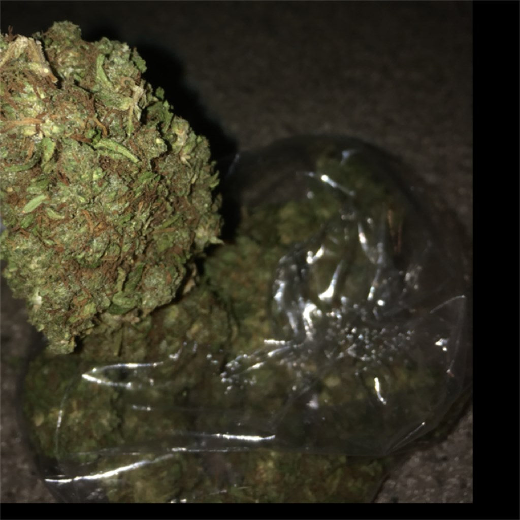 Durban Poison marijuana strain flower with pine and earthy flavor and focused / energetic effects - Rare Harvest sativa