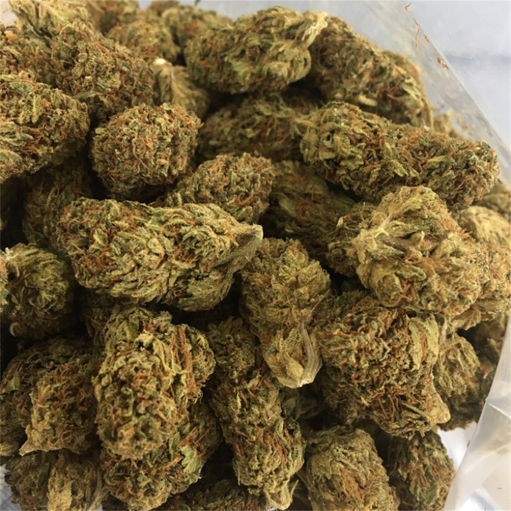 Dutch Dragon marijuana strain flower with citrus and tropical flavor and giggly / energetic effects - Rare Harvest sativa