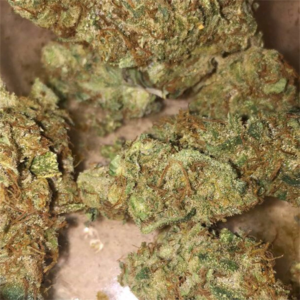 Dutch Treat Haze marijuana strain flower with flowery and citrus flavor and energetic / uplifted effects - Rare Harvest hybrid