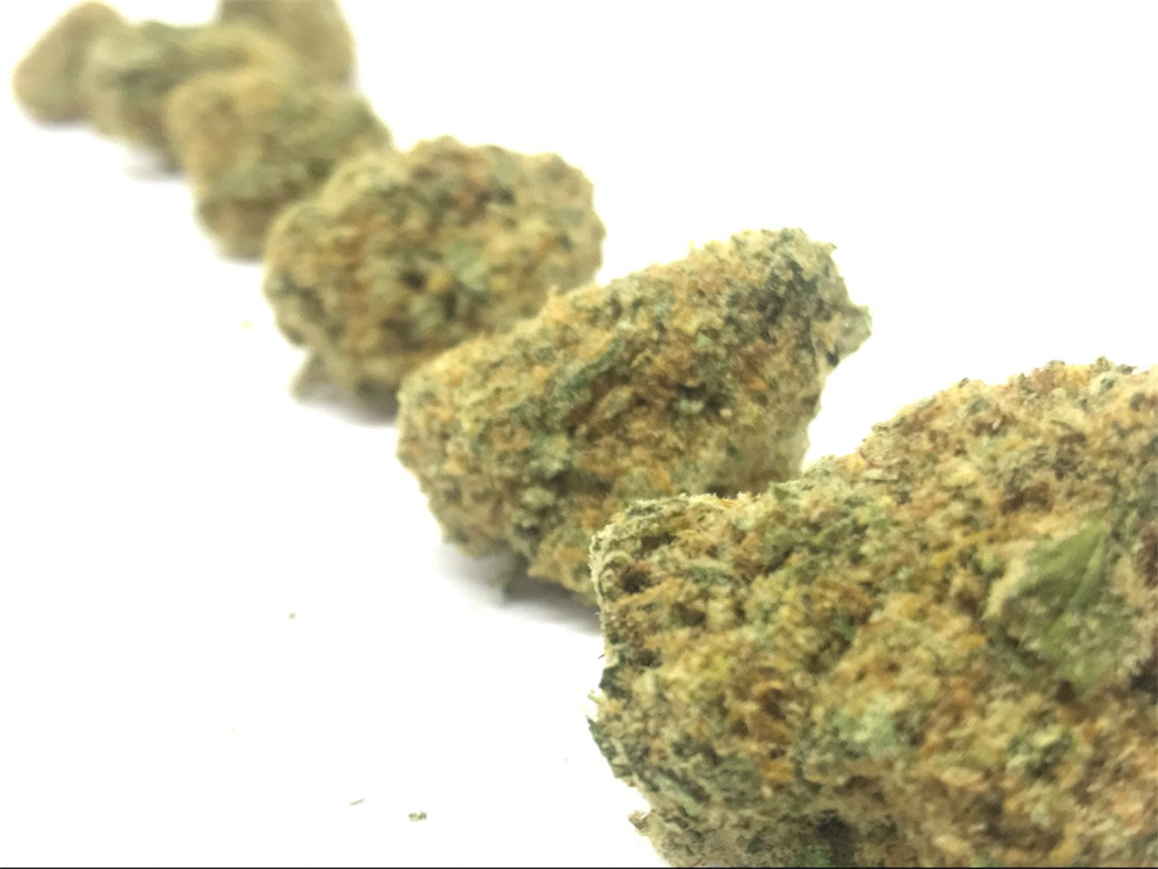 Dutch Treat marijuana strain flower with pine and sweet flavor and euphoric / relaxed effects - Rare Harvest hybrid