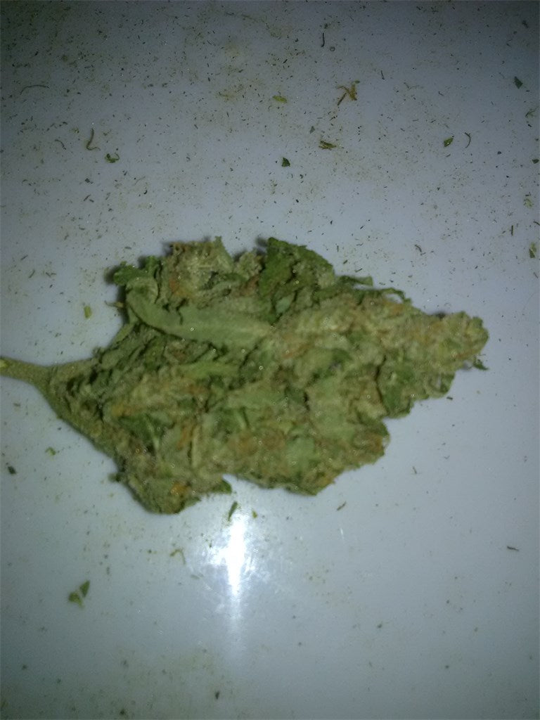 Early Miss marijuana strain flower with sweet and pepper flavor and creative / uplifted effects - Rare Harvest hybrid