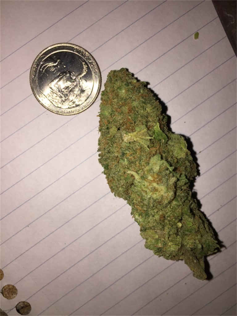 Earthquake marijuana strain flower with woody and earthy flavor and focused / creative effects - Rare Harvest hybrid