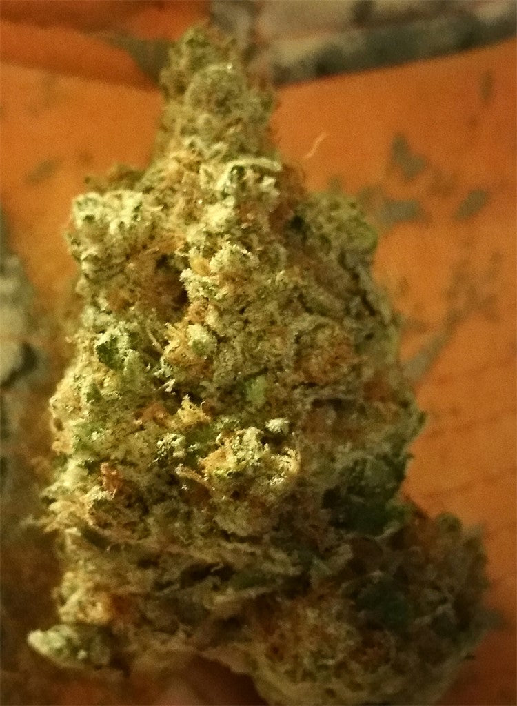 Earthshaker OG marijuana strain flower with lemon and earthy flavor and energetic / creative effects - Rare Harvest hybrid