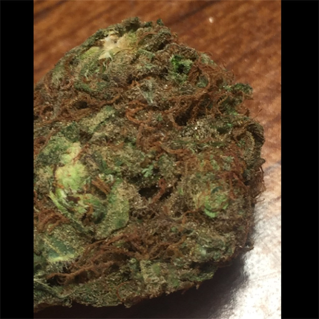 East Coast Alien marijuana strain flower with diesel and mint flavor and energetic / uplifted effects - Rare Harvest sativa