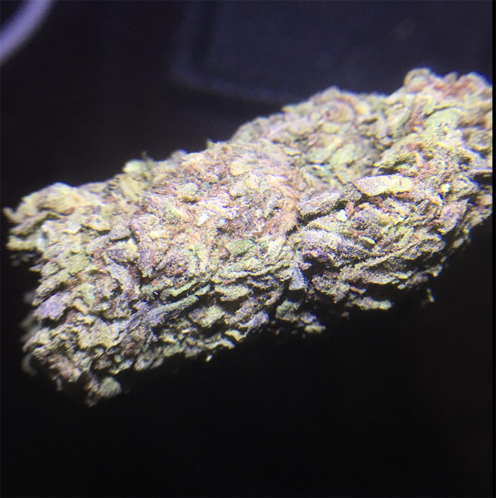 Easy Peezy marijuana strain flower with lemon and earthy flavor and creative / uplifted effects - Rare Harvest hybrid