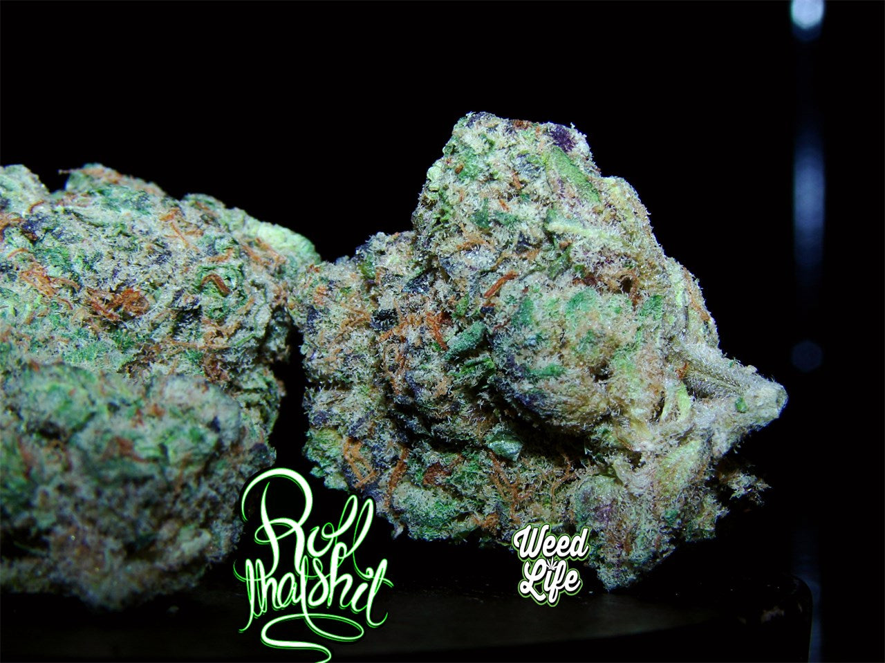 Ecto Cooler marijuana strain flower with chemical and citrus flavor and focused / relaxed effects - Rare Harvest hybrid
