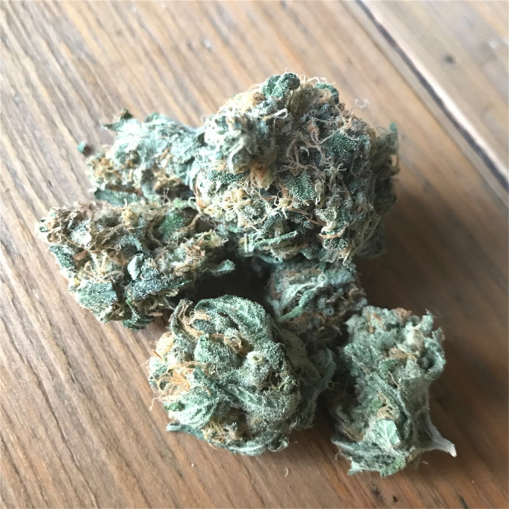 Edelweiss marijuana strain flower with mint and lime flavor and creative / hungry effects - Rare Harvest indica