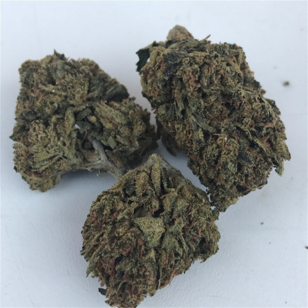 El Chapo OG marijuana strain flower with flowery and earthy flavor and sleepy / relaxed effects - Rare Harvest indica