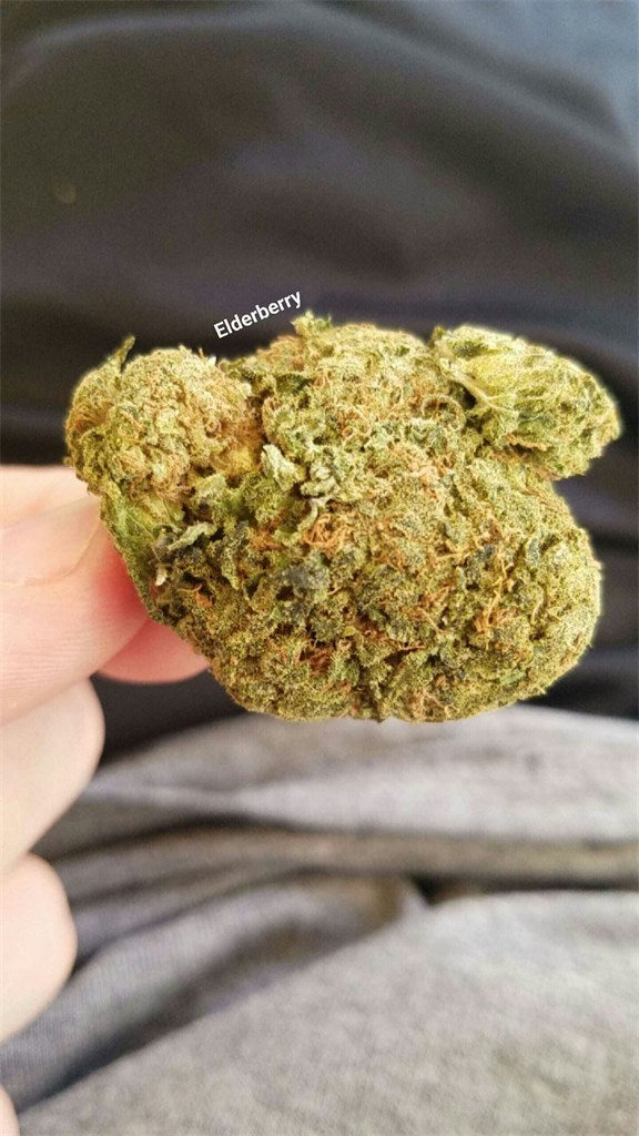 Elderberry marijuana strain flower with berry and blueberry flavor and giggly / sleepy effects - Rare Harvest hybrid