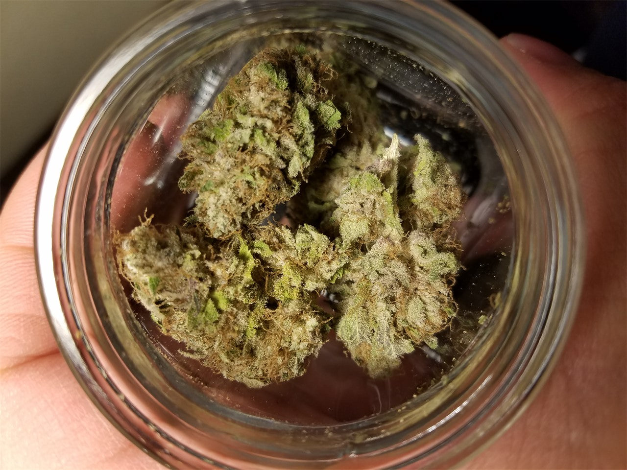 Electric Kool Aid marijuana strain flower with honey and lavender flavor and focused / energetic effects - Rare Harvest hybrid