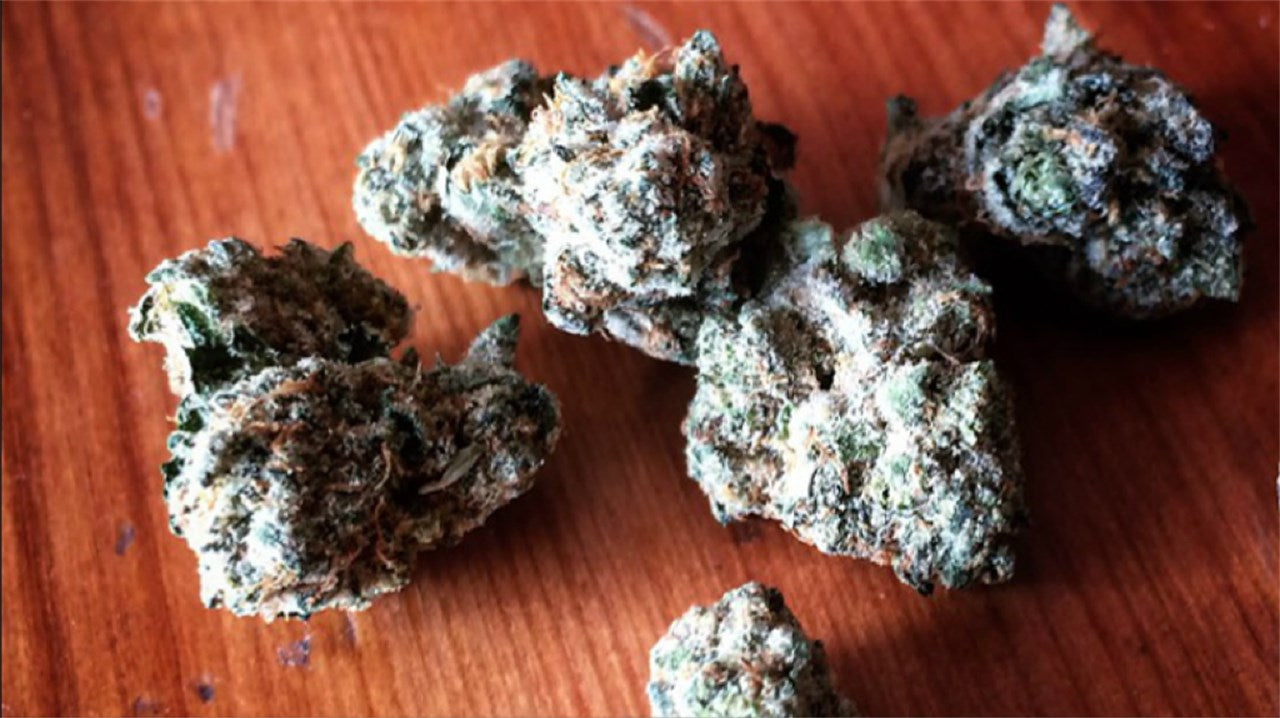 Elmer's Glue marijuana strain flower with pine and skunk flavor and relaxed / hungry effects - Rare Harvest hybrid