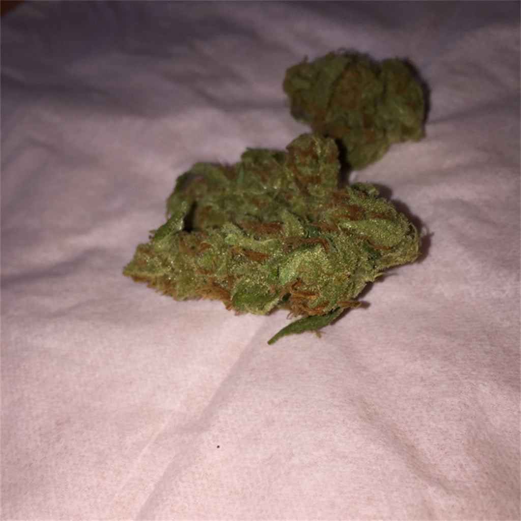 Elphinstone marijuana strain flower with citrus and pine flavor and energetic / uplifted effects - Rare Harvest sativa