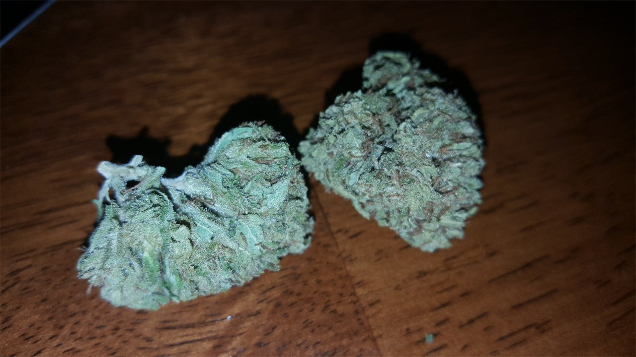 Emerald Jack marijuana strain flower with pine and earthy flavor and focused / creative effects - Rare Harvest sativa