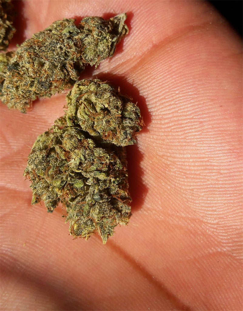 Emerald OG marijuana strain flower with earthy and citrus flavor and relaxed / sleepy effects - Rare Harvest indica