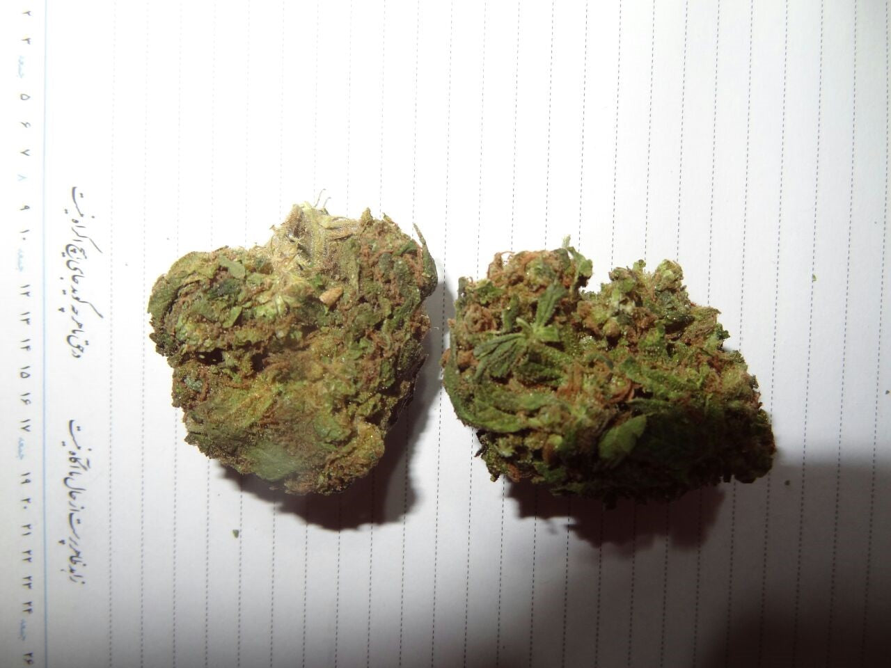 Enigma marijuana strain flower with citrus and flowery flavor and sleepy / hungry effects - Rare Harvest indica