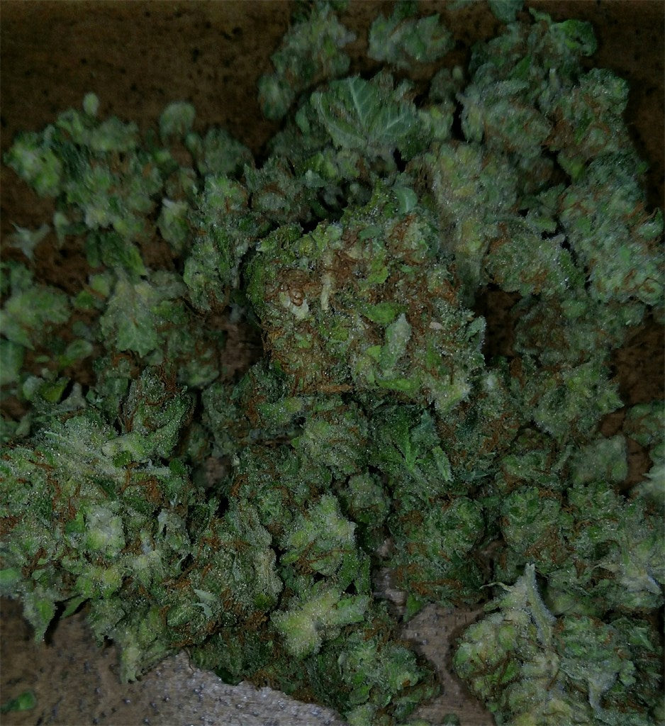 Erez marijuana strain flower with blue cheese and blueberry flavor and sleepy / relaxed effects - Rare Harvest indica