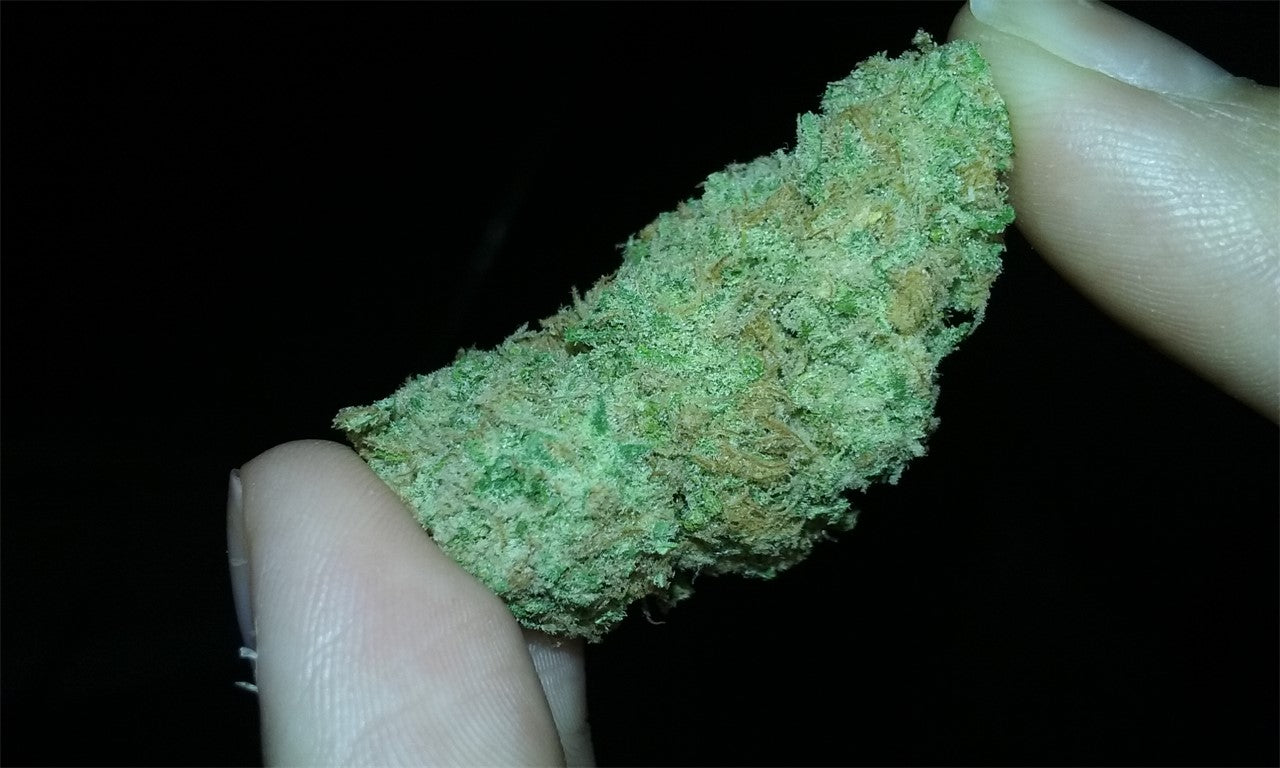 Eugene Cream marijuana strain flower with berry and cheese flavor and creative / energetic effects - Rare Harvest hybrid