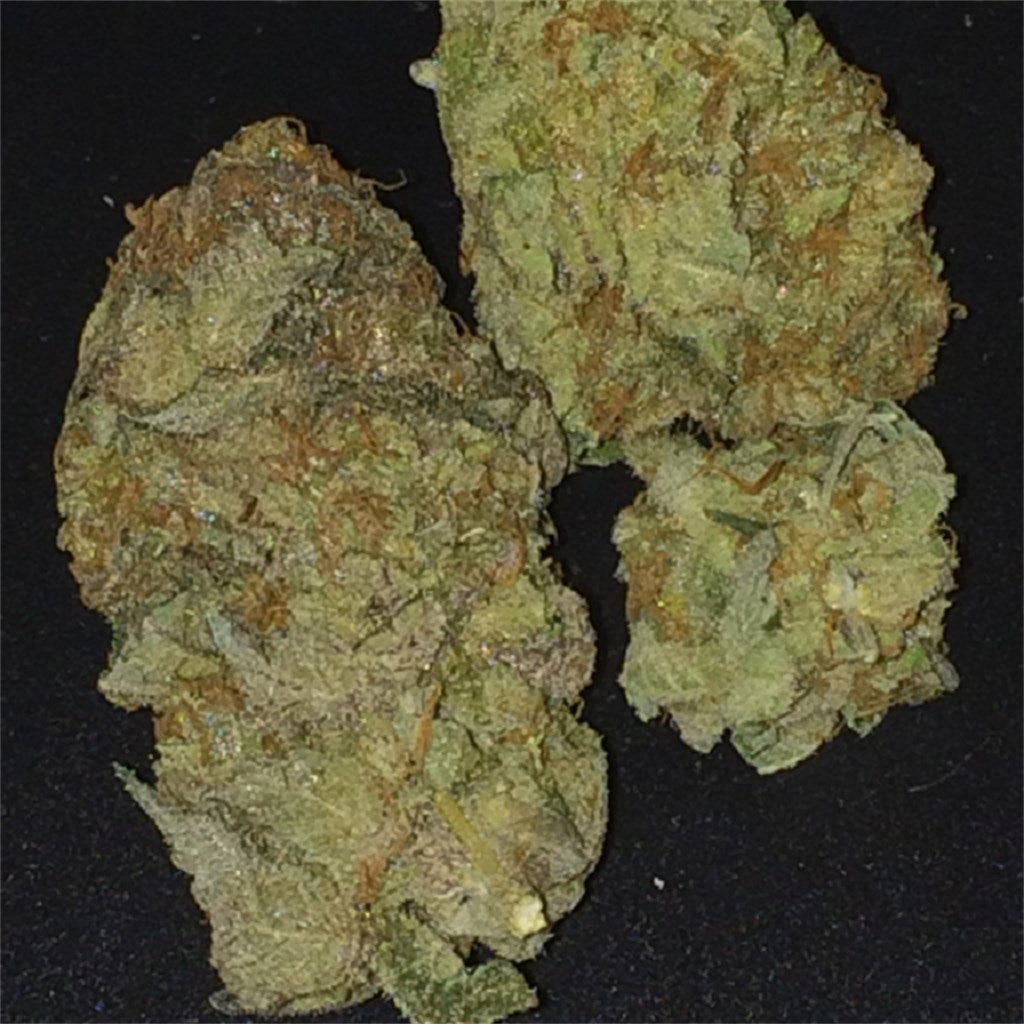 Euphoria Cookies marijuana strain flower with blueberry and sweet flavor and creative / euphoric effects - Rare Harvest hybrid