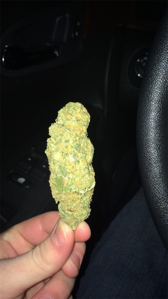 Everlast marijuana strain flower with flowery and diesel flavor and sleepy / energetic effects - Rare Harvest indica