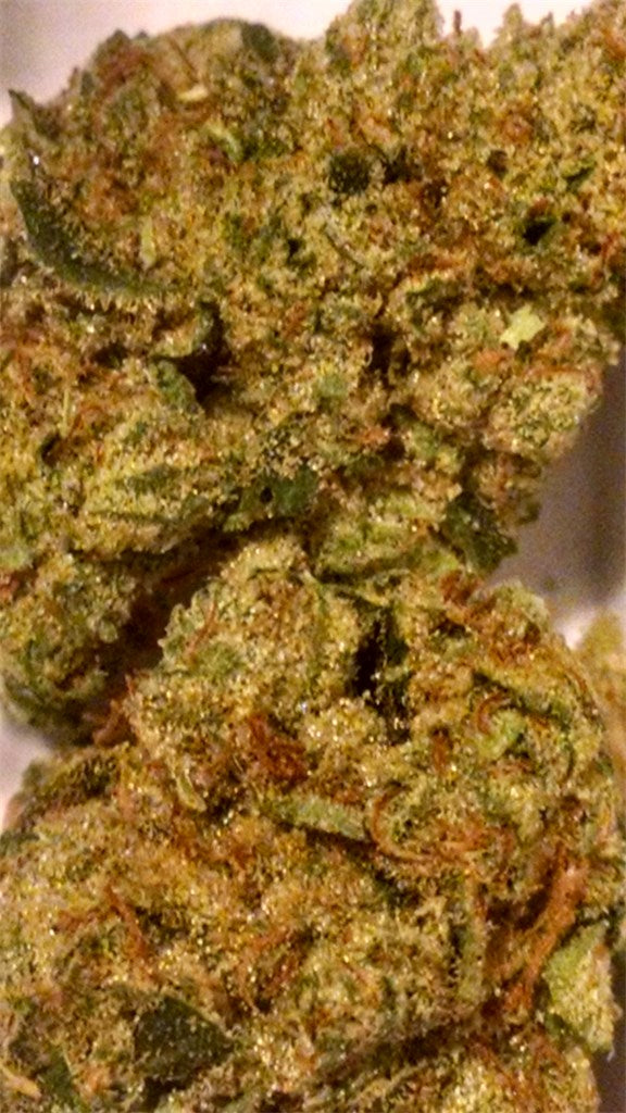 Alien Walker marijuana strain flower with woody and nutty flavor and relaxed / creative effects - Rare Harvest hybrid