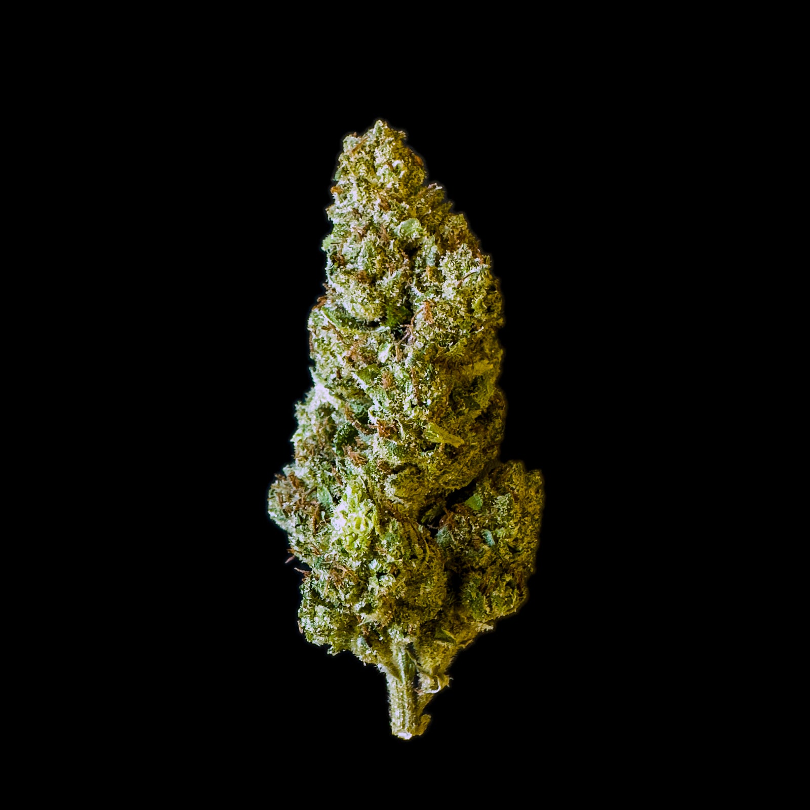 Newton’s Lemon marijuana strain flower with diesel and lemon flavor and energetic / uplifted effects - Rare Harvest hybrid