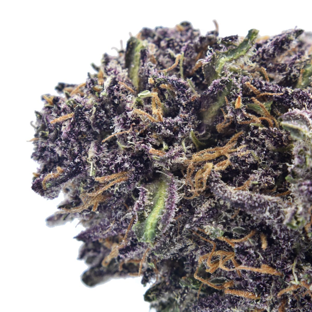 Velvet Purps marijuana strain flower with grape and lavender flavor and energetic / euphoric effects - Rare Harvest hybrid
