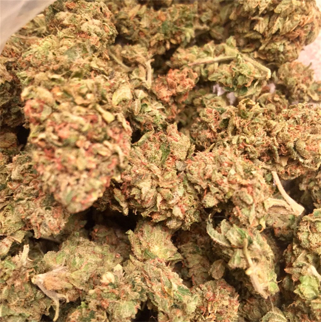 Face Off OG marijuana strain flower with pine and ammonia flavor and sleepy / tingly effects - Rare Harvest indica