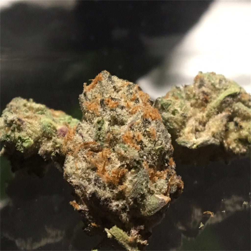 False Teeth marijuana strain flower with grape and diesel flavor and focused / relaxed effects - Rare Harvest hybrid