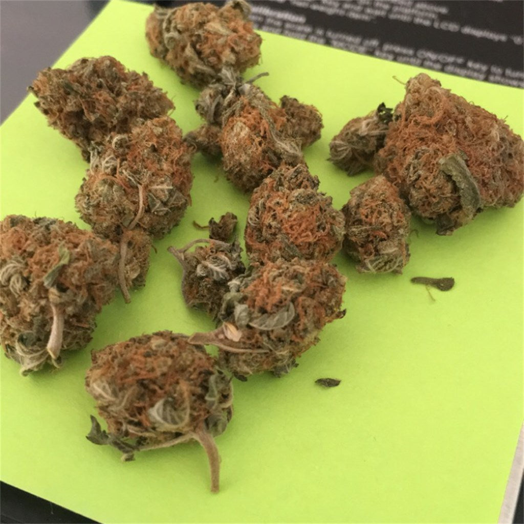 Fire Alien Kush marijuana strain flower with earthy and tea flavor and relaxed / aroused effects - Rare Harvest hybrid