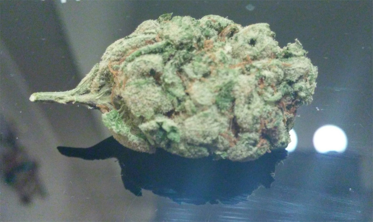 Fire Haze marijuana strain flower with nutty and chestnut flavor and focused / energetic effects - Rare Harvest sativa
