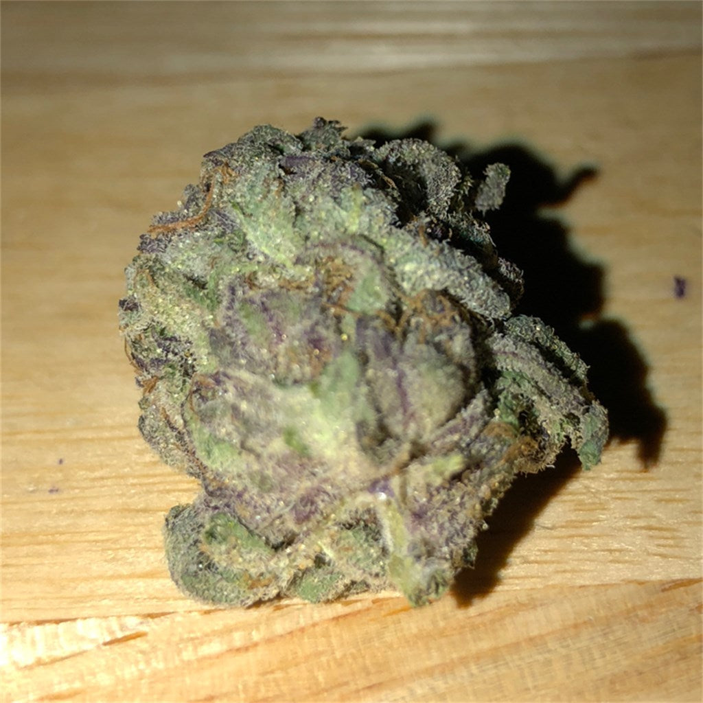 Firewalker OG marijuana strain flower with pine and spicy/herbal flavor and energetic / uplifted effects - Rare Harvest sativa