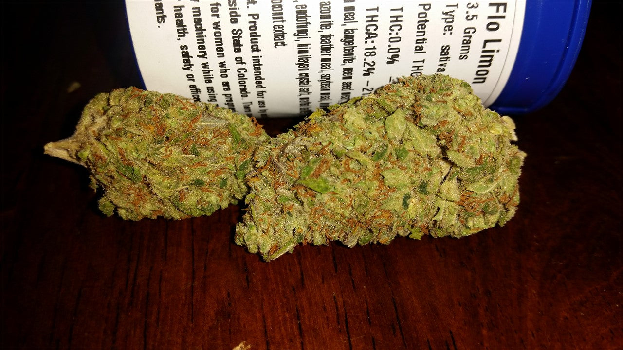 Flo Limone marijuana strain flower with lemon and sweet flavor and energetic / uplifted effects - Rare Harvest sativa
