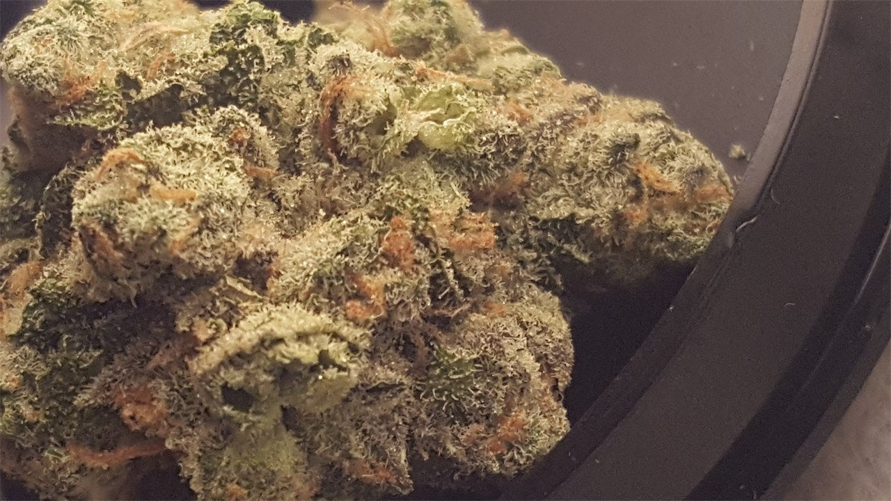 Flo OG marijuana strain flower with flowery and earthy flavor and relaxed / sleepy effects - Rare Harvest indica