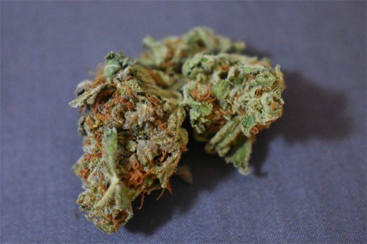 Flowerbomb Kush marijuana strain flower with flowery and spicy/herbal flavor and relaxed / tingly effects - Rare Harvest indica